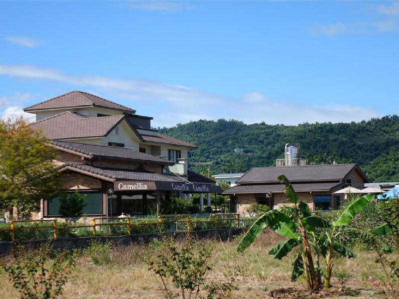 Camellia咖啡館</br>Camellia dessert cafe
