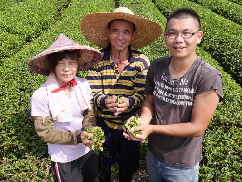 正福茶園</br>Fu Tea Farm